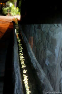 Img 1453 Img 1453